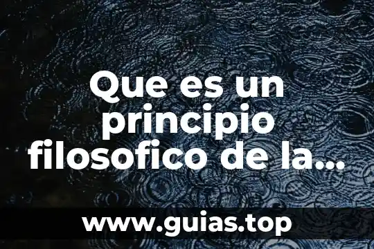 Que es educacion intensiva 5 Que es un principio filosofico de la educacion