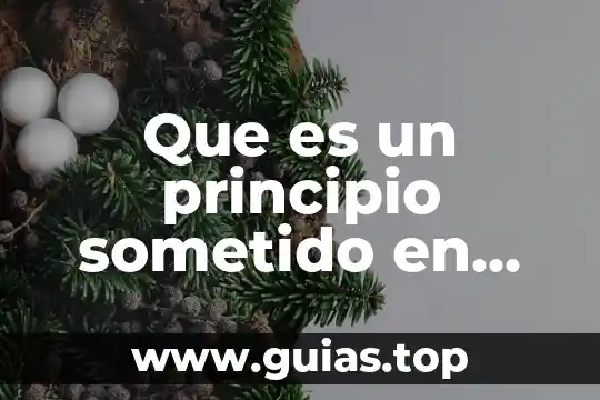 Qué es un principio en un documento 6 Que es un principio sometido en derecho