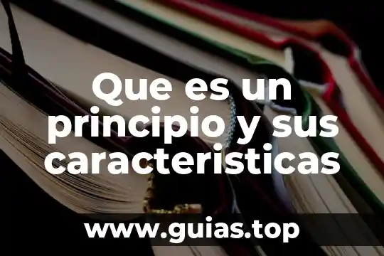 Que es un preludio musical caracteristicas 5 Que es un principio y sus caracteristicas
