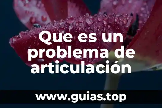 Que es la articulación productiva y tipos 6 Que es un problema de articulación