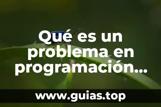 Que es lógica computacional 6 Qué es un problema en programación computacional