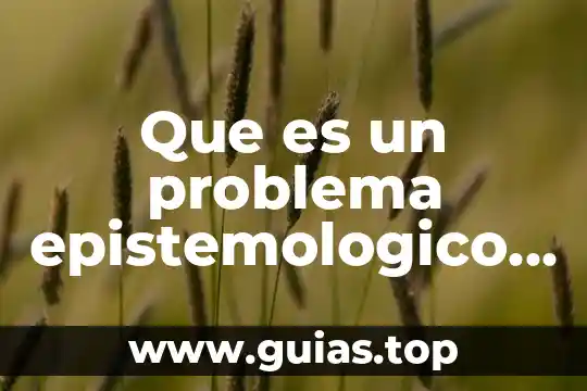 Admibisteacion que es un problema 3 Que es un problema epistemologico disciplinar