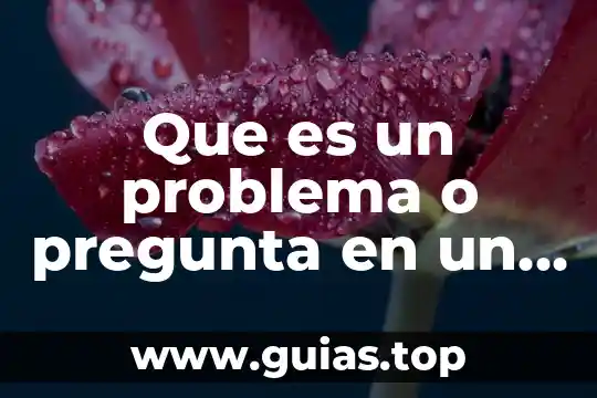 Argumento que es y ejemplos 8 Que es un problema o pregunta en un argumento