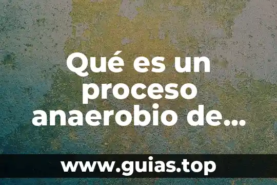 Que es el proceso economico concepto 6 Qué es un proceso anaerobio de contacto