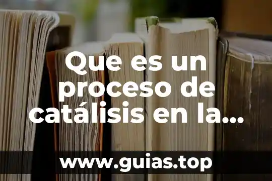 Que es mas liviano el agua o la gasolina 4 Que es un proceso de catálisis en la gasolina