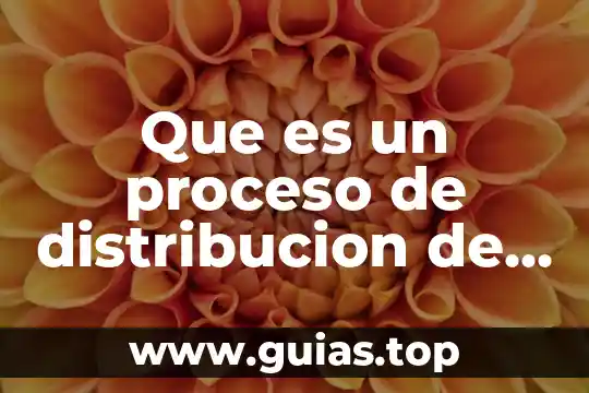 Que es la distribución muestral de la relación de varianzas 5 Que es un proceso de distribucion de un servicio