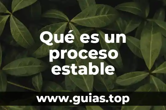 Qué es estado estable en lógica combinatoria 6 Qué es un proceso estable