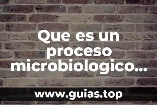 Que es lay out de proceso de corrugado 5 Que es un proceso microbiologico inactivos