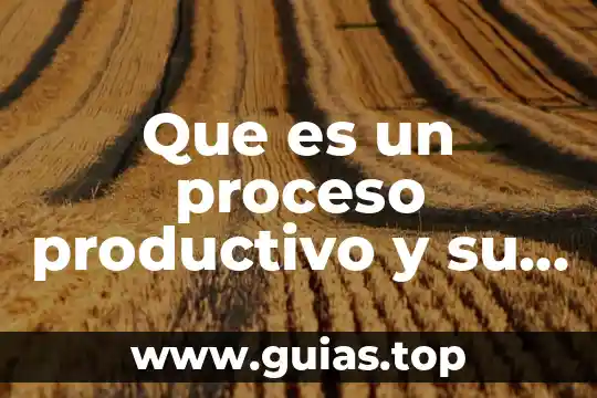 Que es el proceso productivo en la economia 3 Que es un proceso productivo y su clasificacion