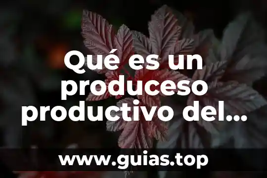 Que es un proceso productivo y su clasificacion 4 Qué es un produceso productivo del fotocontrol
