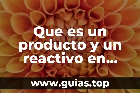 Que es la quimica bioquimica concepto 5 Que es un producto y un reactivo en quimica