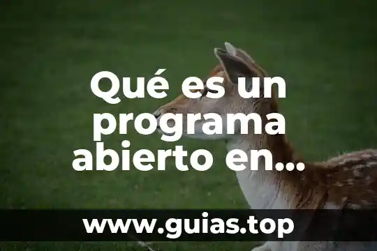 Que es el testamento abierto méxico 8 Qué es un programa abierto en bachiller
