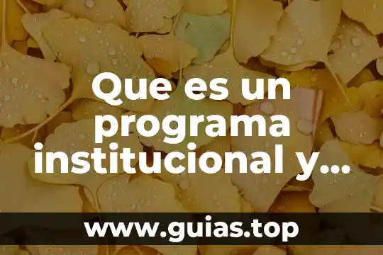 Concepto de que es alteracion auditiva en yahoo 7 Que es un programa institucional y para que sirve