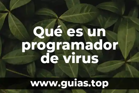 Qué es virus bacterias microorganismos protozoa y sus tipos 3 Qué es un programador de virus
