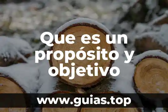 Que es proposito de autor 3 Que es un propósito y objetivo