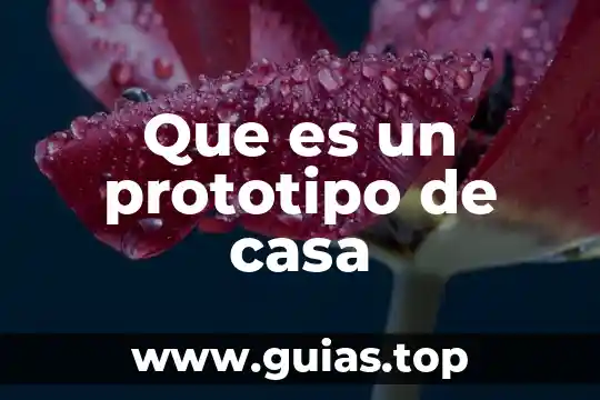 Que es un ama de casa segun 3 Que es un prototipo de casa