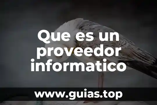 Que es un proveedor informatico