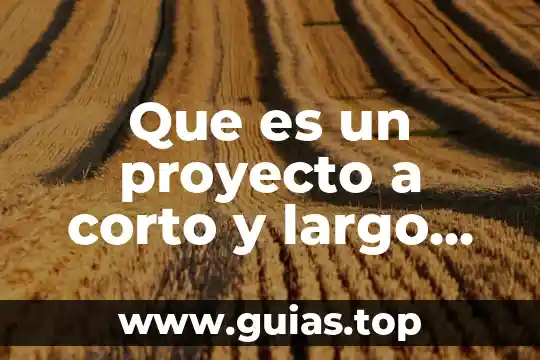 Que es largo corto y mediano plazo 8 Que es un proyecto a corto y largo plazo