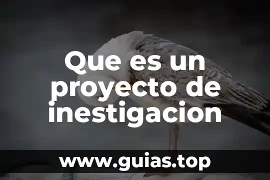 Qué es diferencia en matemáticas definición 8 Que es un proyecto de inestigacion