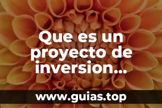 Que es ser social prezzi 5 Que es un proyecto de inversion prezzi