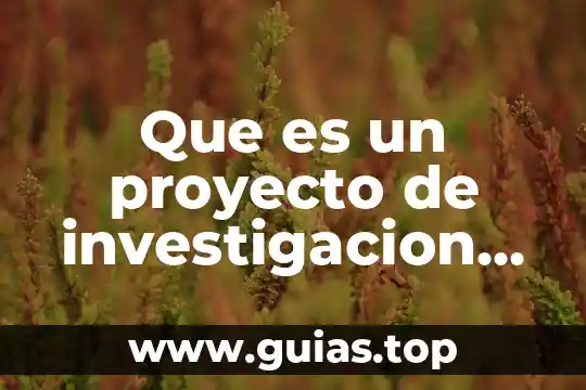 Que es la viabilidad en la tesis segun sampieri 7 Que es un proyecto de investigacion segun sampieri
