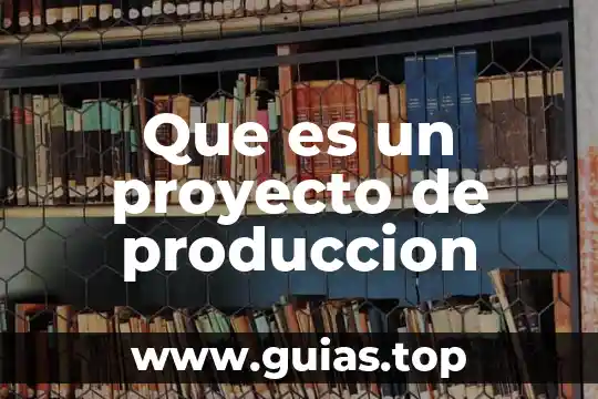 Nivel de producción que es 3 Que es un proyecto de produccion