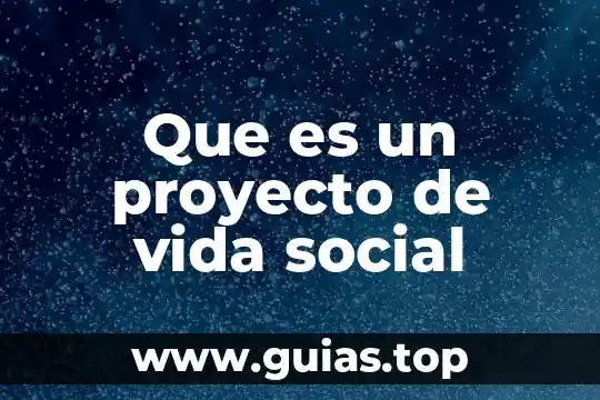 Conclusión de que es la vida 8 Que es un proyecto de vida social