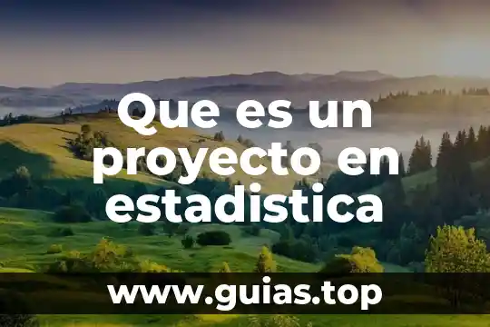 Que es estimador en estadistica 6 Que es un proyecto en estadistica