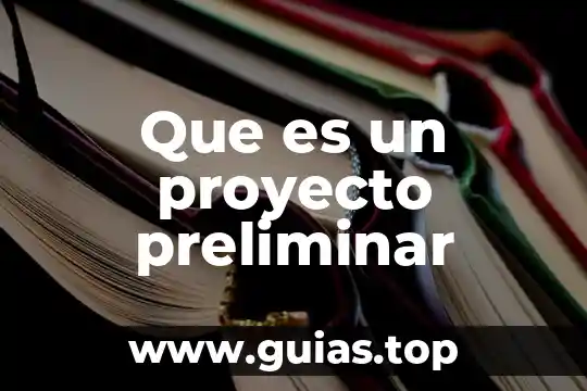 Qué es un proyecto de biogas definición 3 Que es un proyecto preliminar