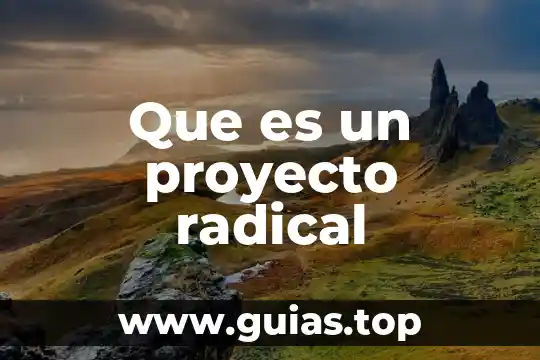 Que es la realidad primaria radical y fundamental 6 Que es un proyecto radical