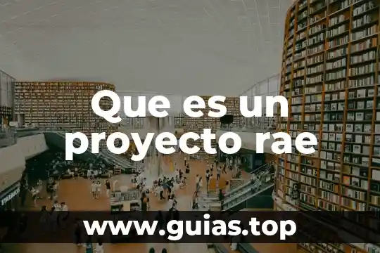 Que es un concepto segun la rae 6 Que es un proyecto rae