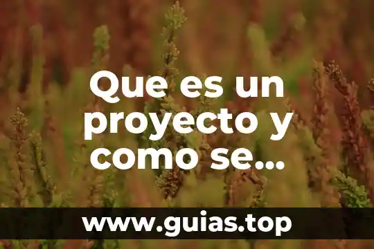 Qué es un proyecto de biogas definición 6 Que es un proyecto y como se elabora en español