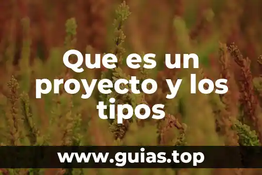Implementar proyecto que es 3 Que es un proyecto y los tipos