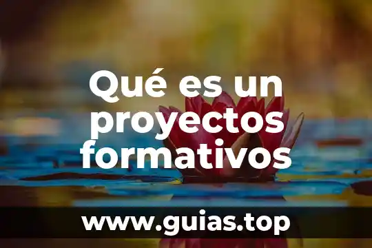 Que es bueno para arralar la sangre 8 Qué es un proyectos formativos