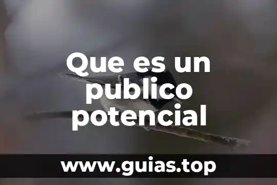 Qué es el bazo en el ser humano 7 Que es un publico potencial
