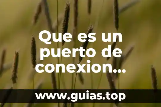 Qué es asertivo definición school 7 Que es un puerto de conexion definicion