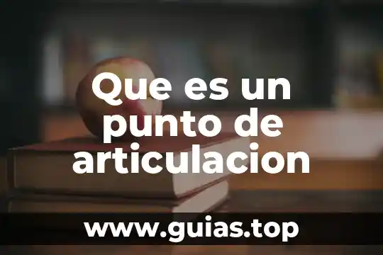 Que es ontologiadesde el punto de vista juridico 5 Que es un punto de articulacion
