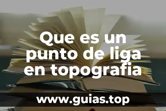Que es clip software topografia 5 Que es un punto de liga en topografia