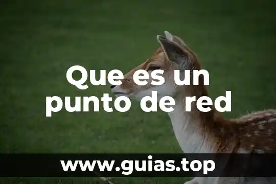 Que es ser abogado por un abogado 3 Que es un punto de red