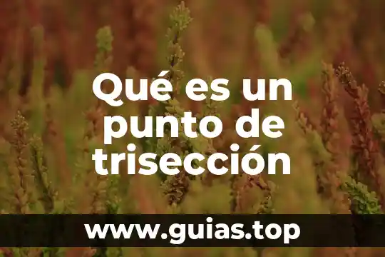 Que es ser autoindependiente 5 Qué es un punto de trisección