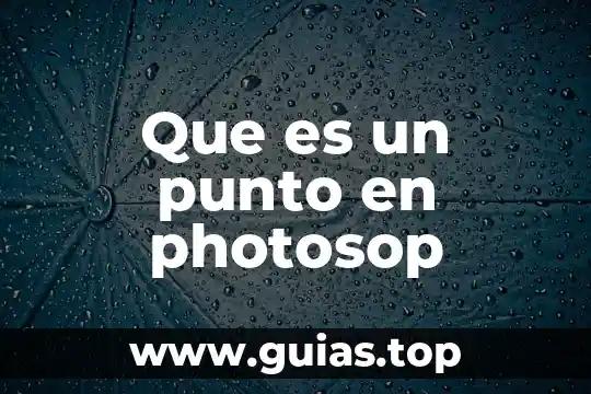 Que es ontologiadesde el punto de vista juridico 4 Que es un punto en photosop