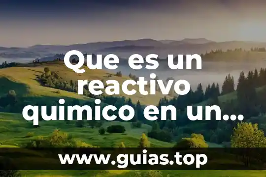Que es el alico quimico 4 Que es un reactivo quimico en un laboratoro
