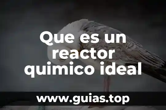Que es un elemento y que es un compuesto quimico 5 Que es un reactor quimico ideal