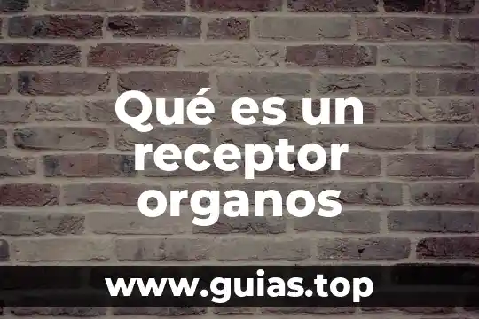 Que es un emisor receptor mensaje codigo canal contexto 4 Qué es un receptor organos