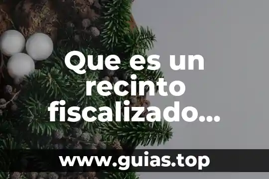 Que es energia eolica y sus caracteristicas 3 Que es un recinto fiscalizado estrategico caracteristicas