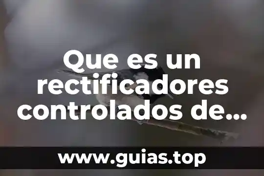 Que es listado de cuadros en una tesis 6 Que es un rectificadores controlados de ca-ca