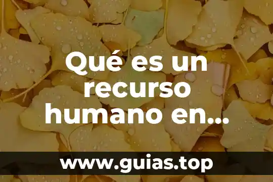 Que es una empresa hotelera concepto 8 Qué es un recurso humano en una empresa