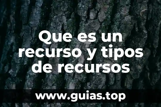 Proxy que es y sus tipos 3 Que es un recurso y tipos de recursos