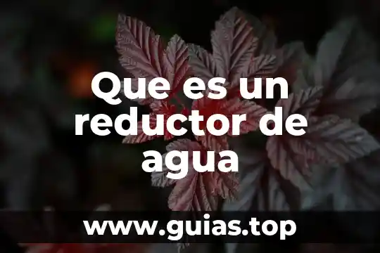 Adobeps6tryout que es 3 Que es un reductor de agua