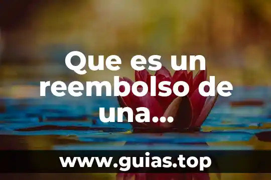 Que es significada concepto 7 Que es un reembolso de una transferencia electronica